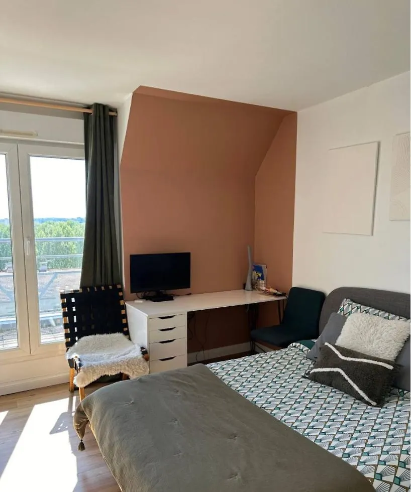 Le Duplex Avec Rooftop Lyon 0*,