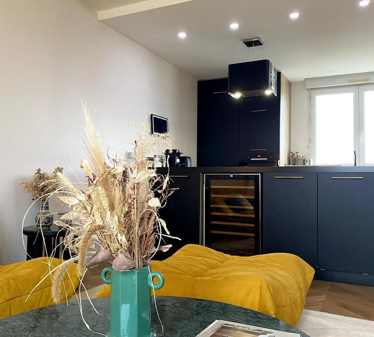 Le Duplex Avec Rooftop Lyon Apartmán