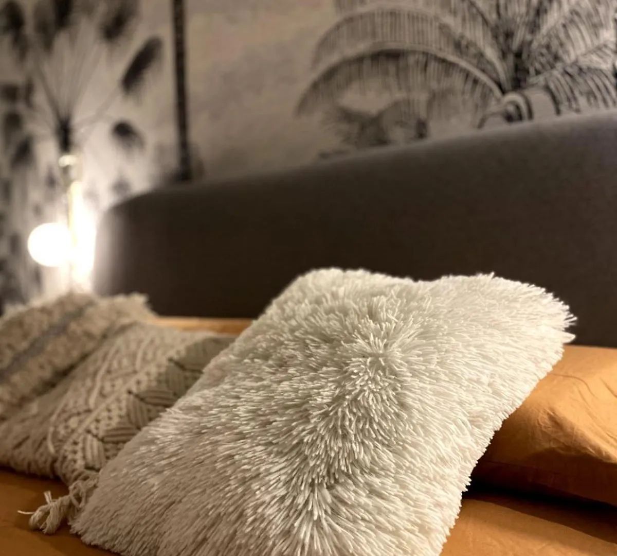 Le Duplex Avec Rooftop Lyon 0*,  Francie