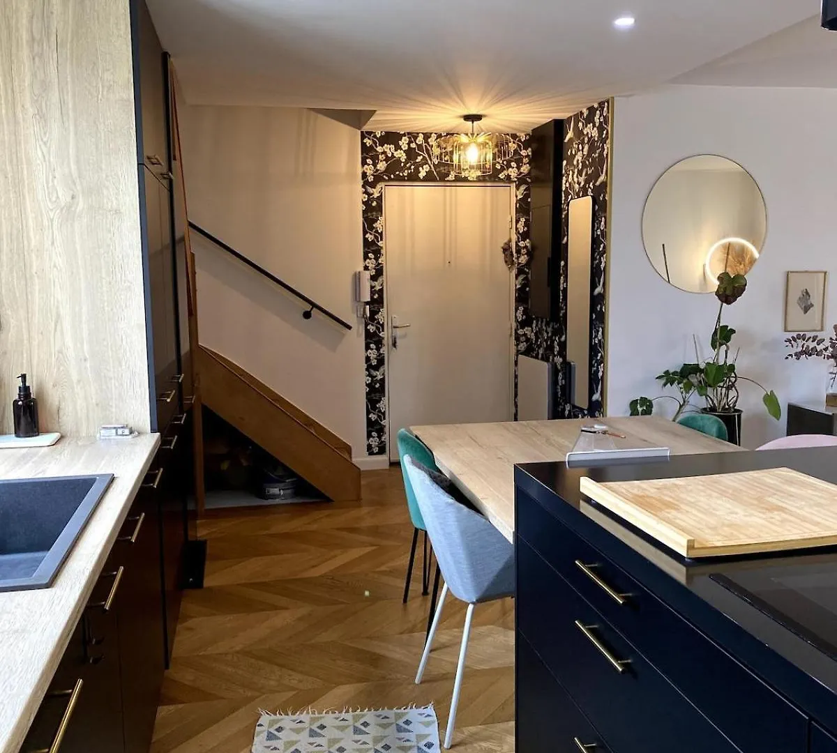 Apartment Le Duplex Avec Rooftop Lyon