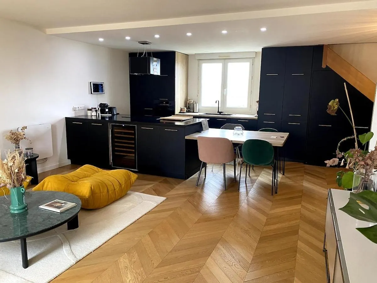 Apartment Le Duplex Avec Rooftop Lyon