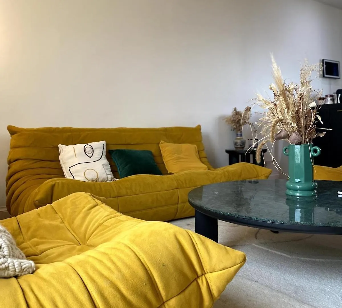 Le Duplex Avec Rooftop Lyon France